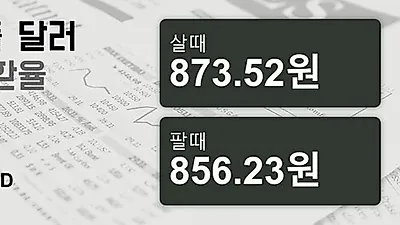 29일 싱가폴 달러 살때 873.52원, 팔때 856.23원 ▲0.24%상승