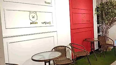 원주애견카페 오픈 ‘개맘대로’, 회원제도로 할인혜택 제공