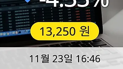 나노신소재 23일 13,250원 장종료