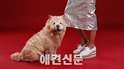 [인터뷰] 톱모델&배우 이영진 "조금 더 눈여겨보고 조금 더 귀 기울이면..."