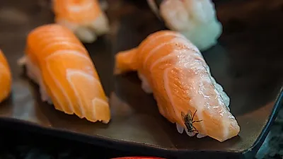 강제 다이어트 '장염', 여름 지났다고 안심하면 안돼... 장염·식중독 증상 설사에 좋은 음식은?