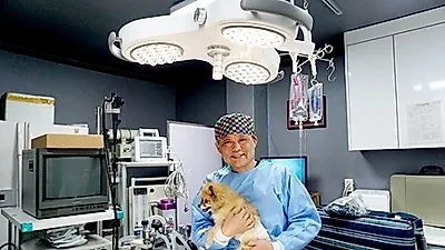 수원 이지훈 동물병원. 버려진 동물들을 위한 유기동물 진료 나서
