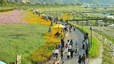 '2019 장성 황룡강 홍길동무 꽃길축제' 개막 D-2