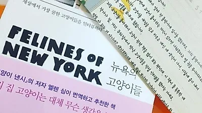 이영진, 고양이 서적 선물 받아 "고마워요"