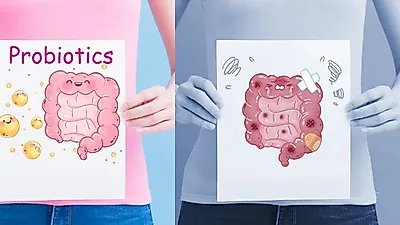 [단기다이어트]  프로바이오틱스,  다이어트 도움되고  아토피에도 좋다고?...  프리바이오틱스 풍부한 음식까지!