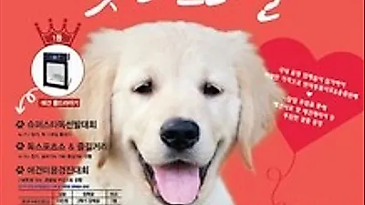 SAC 반려동물사랑 펫 페스티벌 개최
