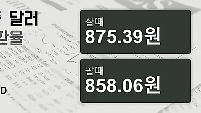 17일 싱가폴 달러 살때 875.39원, 팔때 858.06원 ▼-0.3%감소
