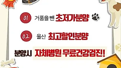 울산애견분양 엔젤인독스, 다양한 이벤트로 호평