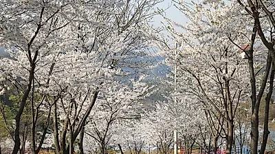 양평 가볼만한 곳 추천 여행지, 복합문화공간 오르다온 'Hello, Spring 봄이 왔어요' 이벤트 진행 중