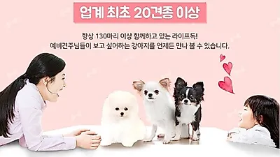 24시간 매장운영시스템과 다양한 견종 보유, 애견인들의 사랑을 받고 있는 김포애견샵 '라이프독 김포점'
