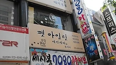 경기도 성남의 '펫 아일럿' 애견카페