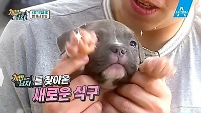 '개밥 주는 남자' 양형제, 꼬물이와 리얼 동거 시작 "귀여움 폭발"