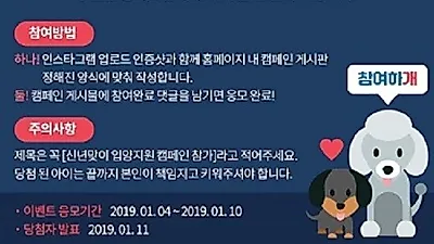 대형 펫 브랜드 '도그마루' 이벤트, 화제
