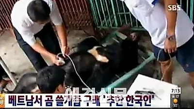 계속되는 베트남 보신관광, 여행사가 관광객들 불법행위 부추겨