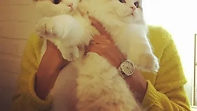 강민혁, 품 안에 가득 반려묘 안고 "넌 싫지만 난 좋아!"