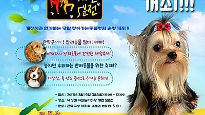 서울 관악구, 반려견 놀이터 '개판 5분전' 이달 개장