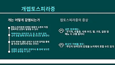 반려견에게 위험한 ‘렙토스피라증’ 오염된 흙‧물로도 감염