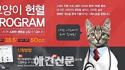 "고양이도 수혈이 필요해요"