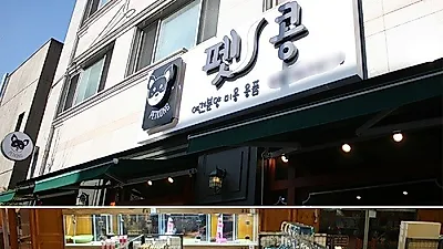 대전 애견샵 '펫콩', 분양부터 호텔, 미용까지 해결