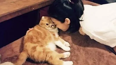 보라, 반려묘에게 입맞춤 '다정다감'