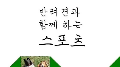 서울대 동물병원, '반려견과 함께하는 스포츠' 문화교실 진행