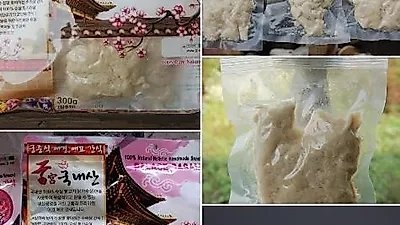 23차 애완용품 체험단 "애견간식 궁(닭가슴살 300g)"