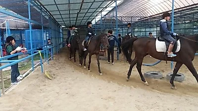 용인시, 승마체험교실 실시 '850명 참가'