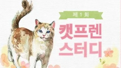 애묘인 위한 특별한 무료 강좌 '캣프렌 스터디'