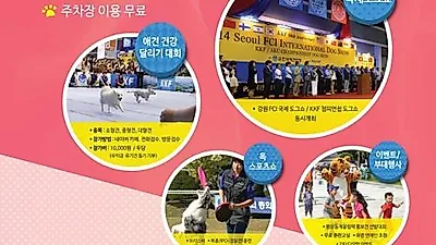 반려동물 문화 대축제 '펫 페스티벌' 개최...애견달리기 대회 등 풍성한 볼거리