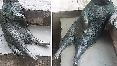 사라진 이스탄불 고양이 동상 '이틀 만에 제자리'