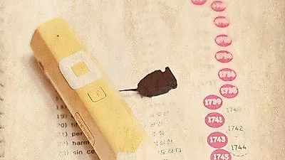 영어단어암기 '1일 1000단어'로 영어공부 완성, 대치기억영어 사립초 전문반 모집