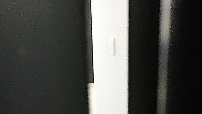 정유미, 문 틈사이로 보이는 시바견 포스