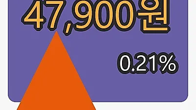 한일홀딩스 10일 마감가 47,900원 0.21프로 변동..