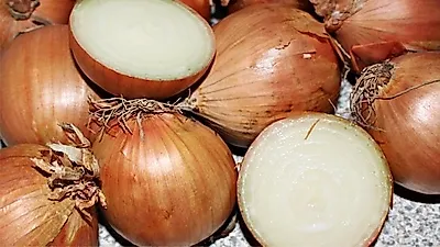 [음식효능]   알고 먹으면 더 맛좋은   백종원의 '만능양파볶음', 자취생 간단요리로 딱!