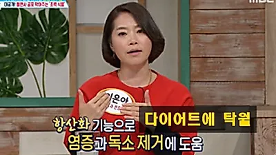 연자육으로 단기간 다이어트 '화제'…연자육 먹는법은? '왕의 보약'이라 불려 건강식품으로 제격