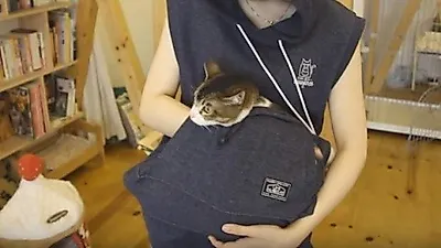 일본, 귀여운 고양이 운반 후드 등장