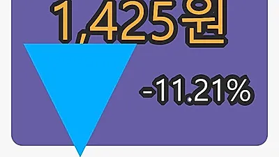 5일 디알텍마감가 1,425원, 전일대비 -11.21%등락..