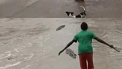 슬리퍼로 위협적인 소리내 악어 쫓아낸 여성