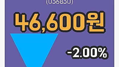 솔브레인 2일 46,600원 장종료