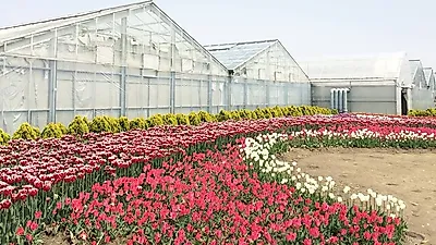 삭막한 겨울, 초록기운을 느낄 수 있는 식물원 3곳