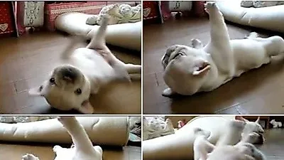 '어 이게 왜이러지...내몸이 내몸이 아닌데 낑낑'