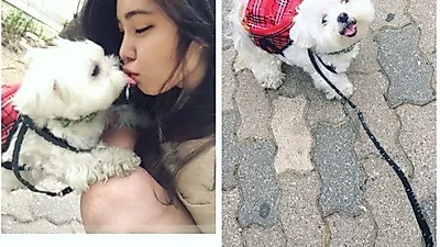 강예빈, 반려견과 함께한 사랑 넘치는 일상 '뽀뽀'