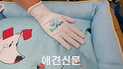 [포토]하우디펫의 반려동물 털 제거 장갑 , 2015 대구펫쇼