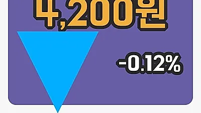 국내주식마감현대에이치씨엔 28일 4,200원 마감