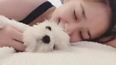 손연재, 반려견과 이불 위에서 "힘들어도 두부 보면 행복해요"