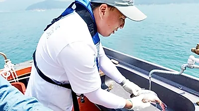 거제도 배낚시 체험 '청풍명월', 짜릿한 손맛 보려면?