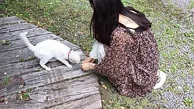 박하선, 길고양이 앞에 앉아 "집을 잃은 고냥"