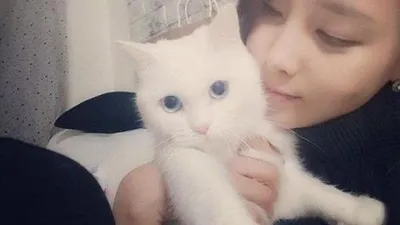 투야 안진경, 고양이와 사랑스러운 투샷 "우리 아가"