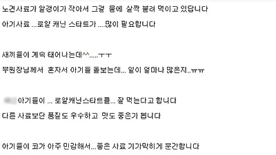사료 없어 허덕이는 유기견 보호소, 비싼사료 후원해주세요??