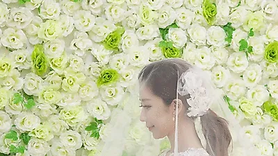 맞춤급웨딩드레스 전문 라파엘웨딩, 스몰웨딩패키지 77만원대 프로모션 진행